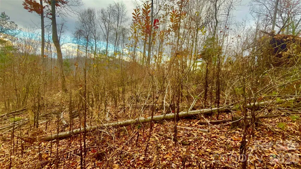 00000 High Peak Ridge #10 Green Mountain, NC 28740