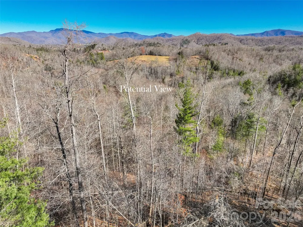 00000 High Peak Ridge #10 Green Mountain, NC 28740