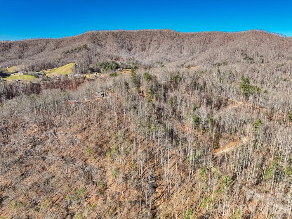 00000 High Peak Ridge #10 Green Mountain, NC 28740