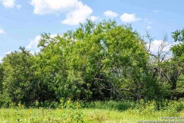 000 CR 405 Beeville, TX 78102