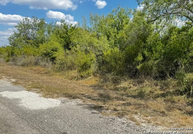 112 Clearview Cir. Sandia, TX 78383