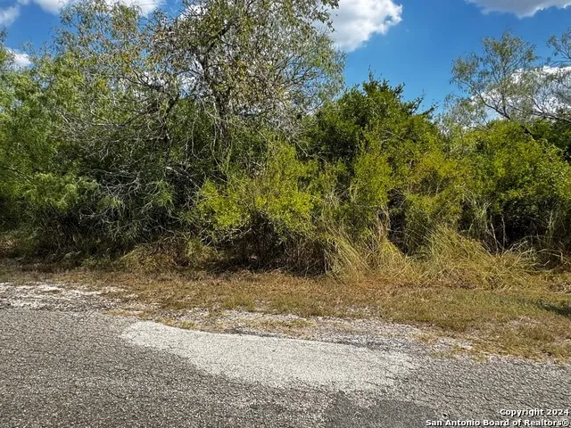 112 Clearview Cir. Sandia, TX 78383