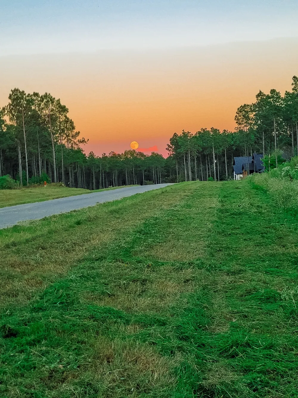 247 Millwood Loop #24 Minden, LA 71055