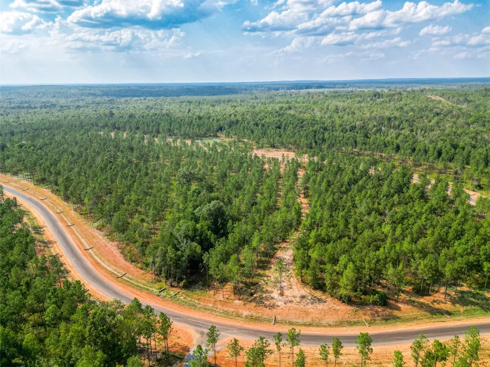 247 Millwood Loop #24 Minden, LA 71055