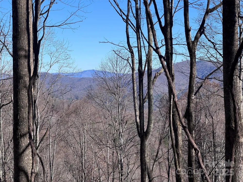 15 +/- Acres Riddle Branch Road Burnsville, NC 28714