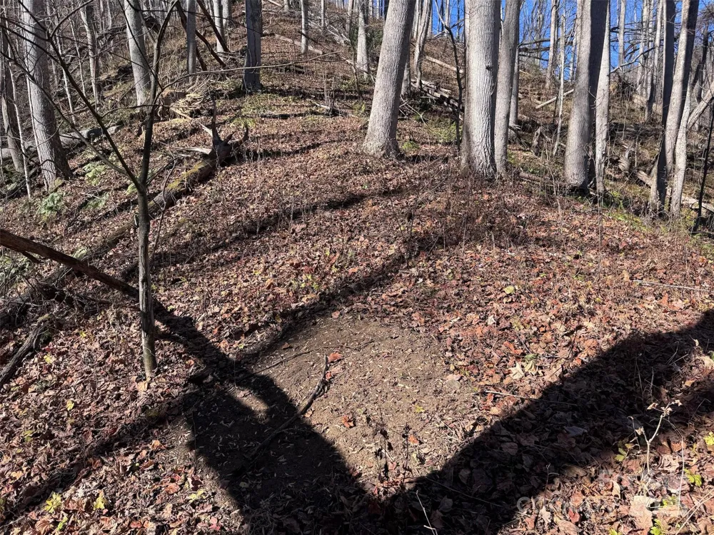 15 +/- Acres Riddle Branch Road Burnsville, NC 28714
