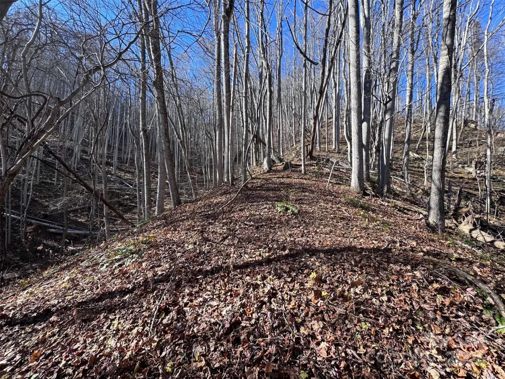 15 +/- Acres Riddle Branch Road Burnsville, NC 28714