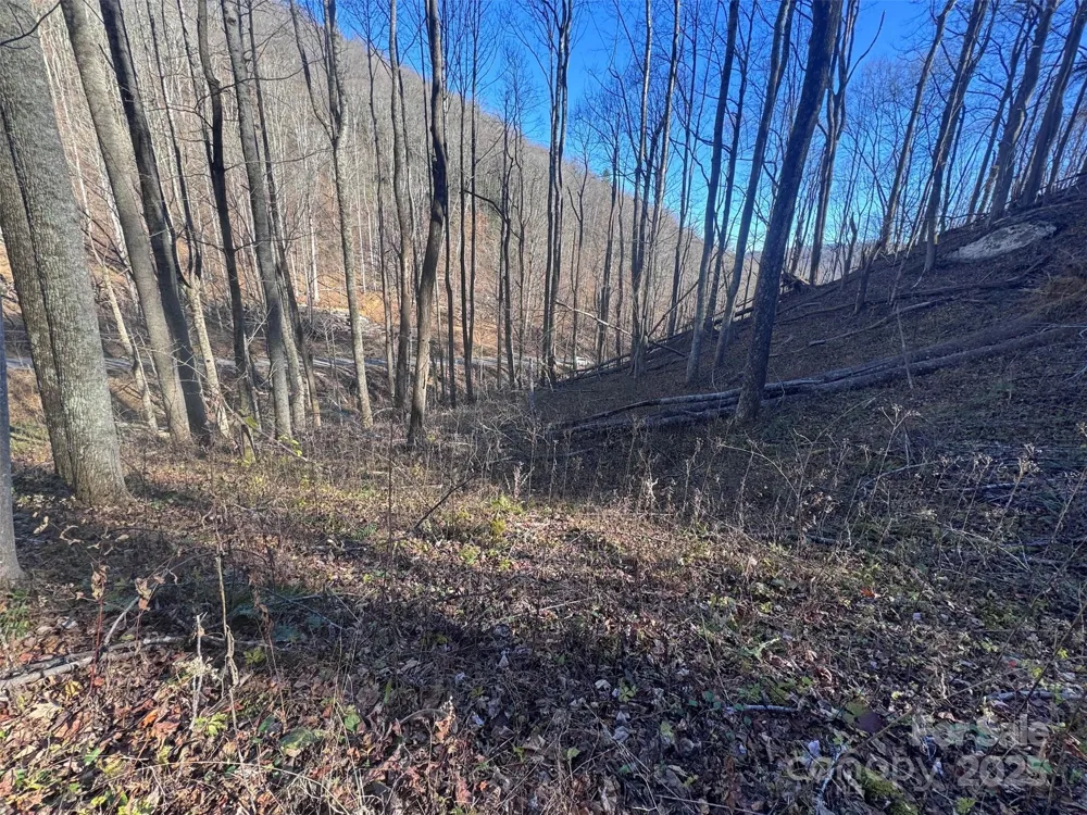 15 +/- Acres Riddle Branch Road Burnsville, NC 28714
