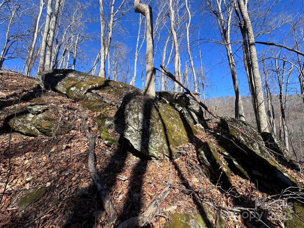 15 +/- Acres Riddle Branch Road Burnsville, NC 28714