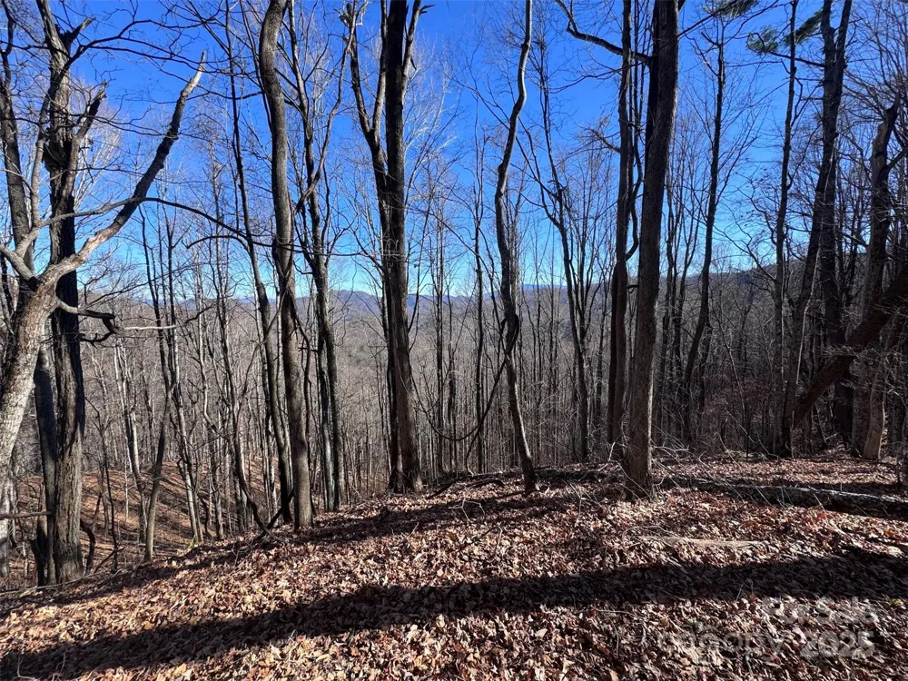 15 +/- Acres Riddle Branch Road Burnsville, NC 28714