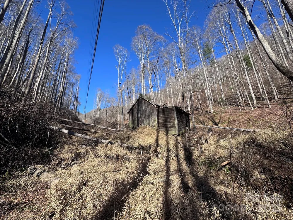 15 +/- Acres Riddle Branch Road Burnsville, NC 28714
