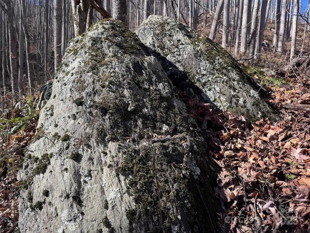 15 +/- Acres Riddle Branch Road Burnsville, NC 28714