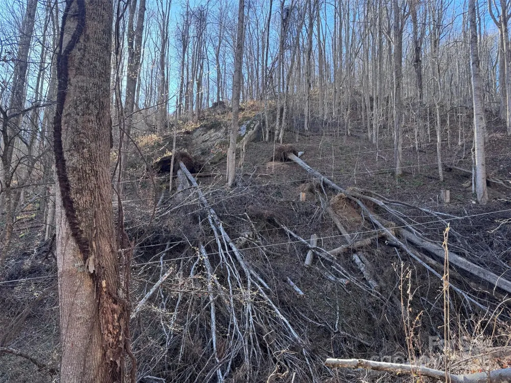 15 +/- Acres Riddle Branch Road Burnsville, NC 28714