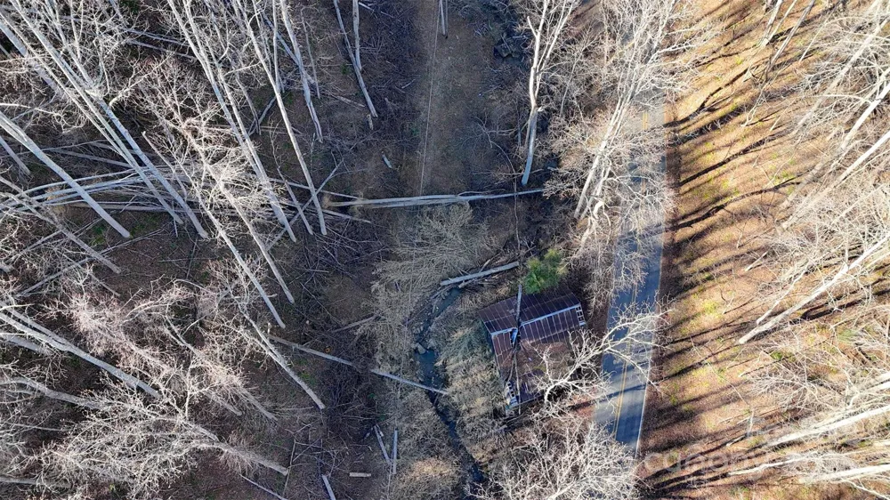 15 +/- Acres Riddle Branch Road Burnsville, NC 28714