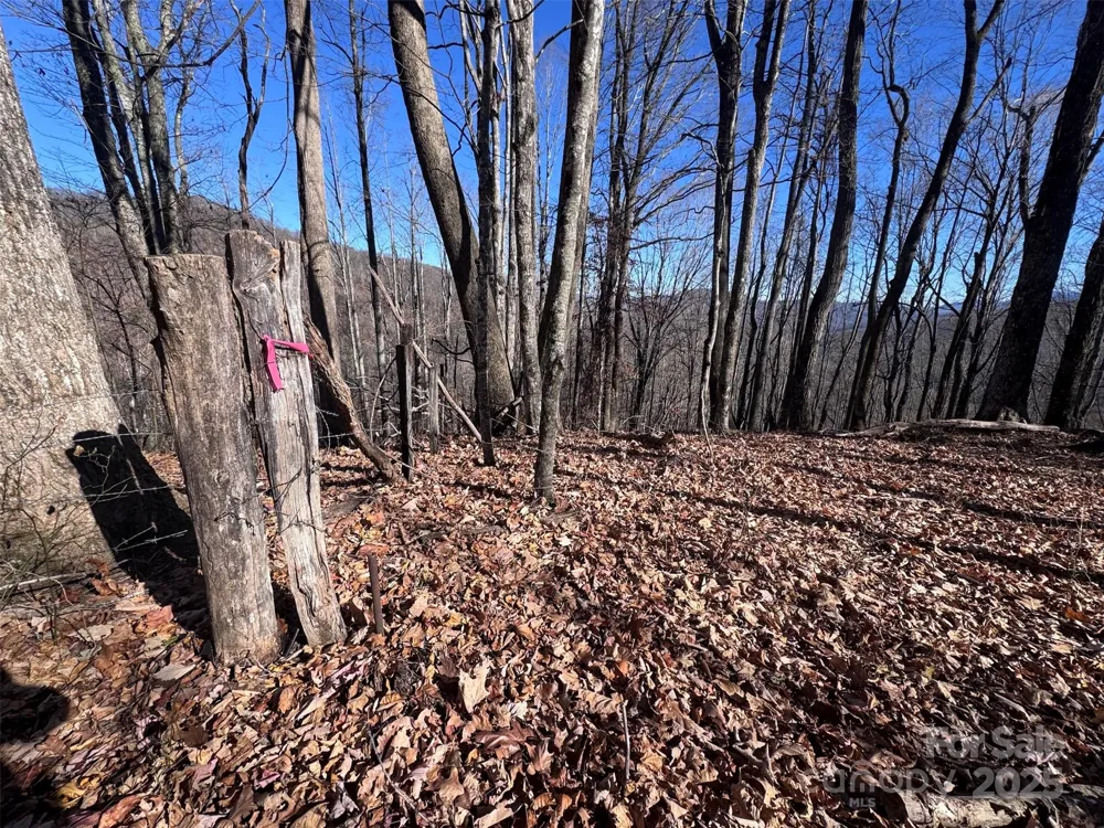 15 +/- Acres Riddle Branch Road Burnsville, NC 28714