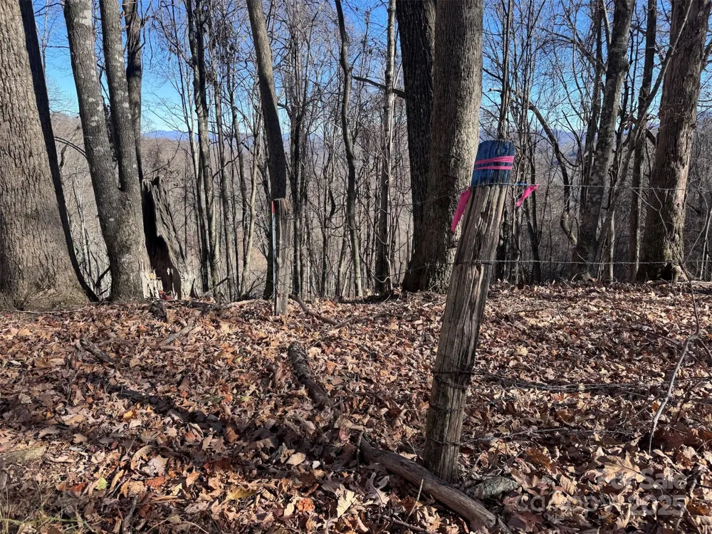 15 +/- Acres Riddle Branch Road Burnsville, NC 28714