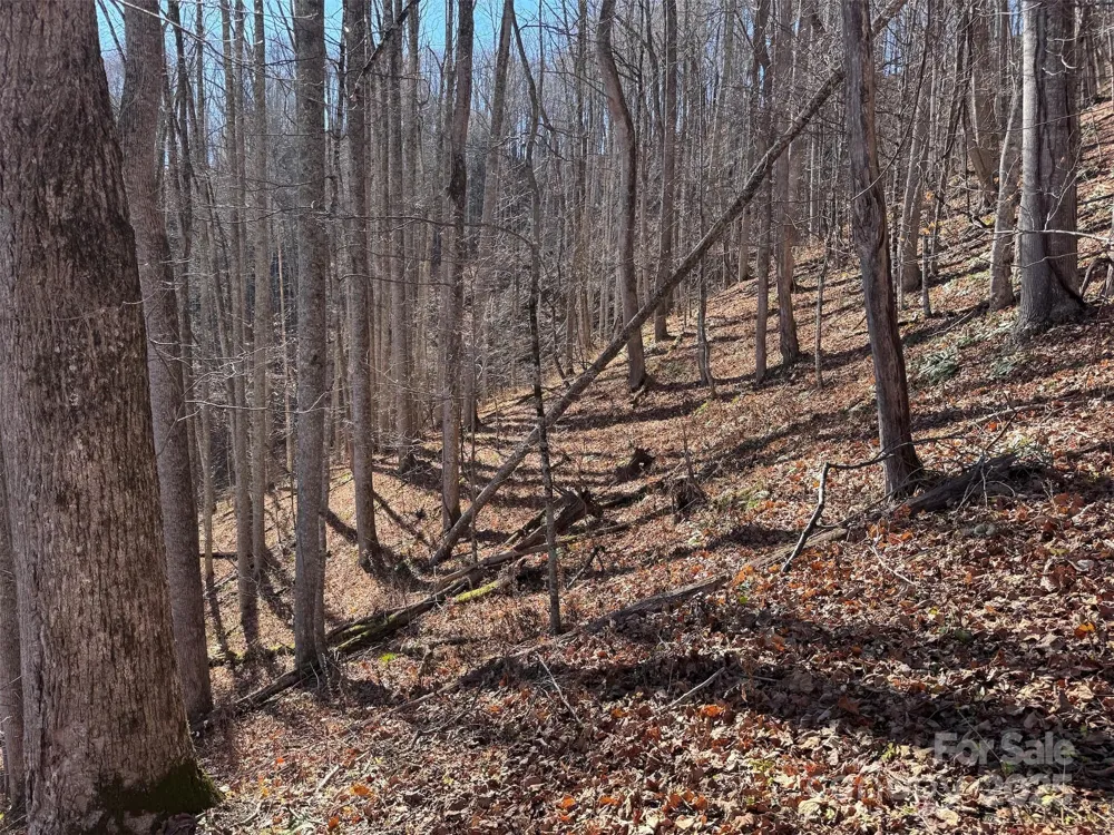 15 +/- Acres Riddle Branch Road Burnsville, NC 28714