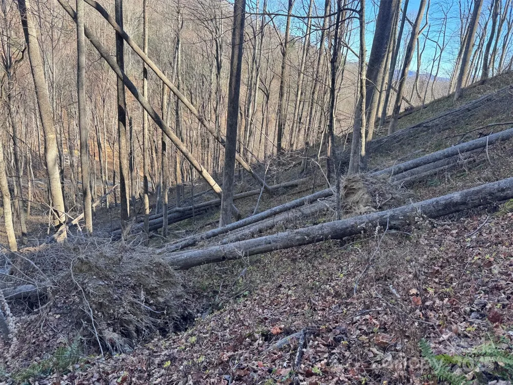 15 +/- Acres Riddle Branch Road Burnsville, NC 28714