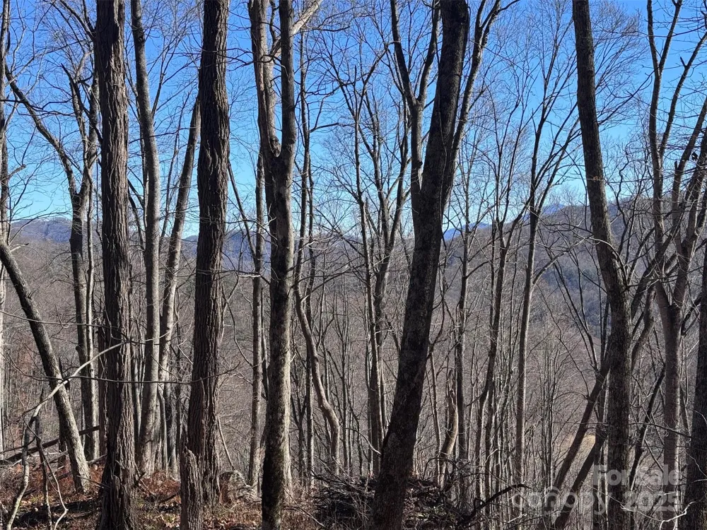 15 +/- Acres Riddle Branch Road Burnsville, NC 28714