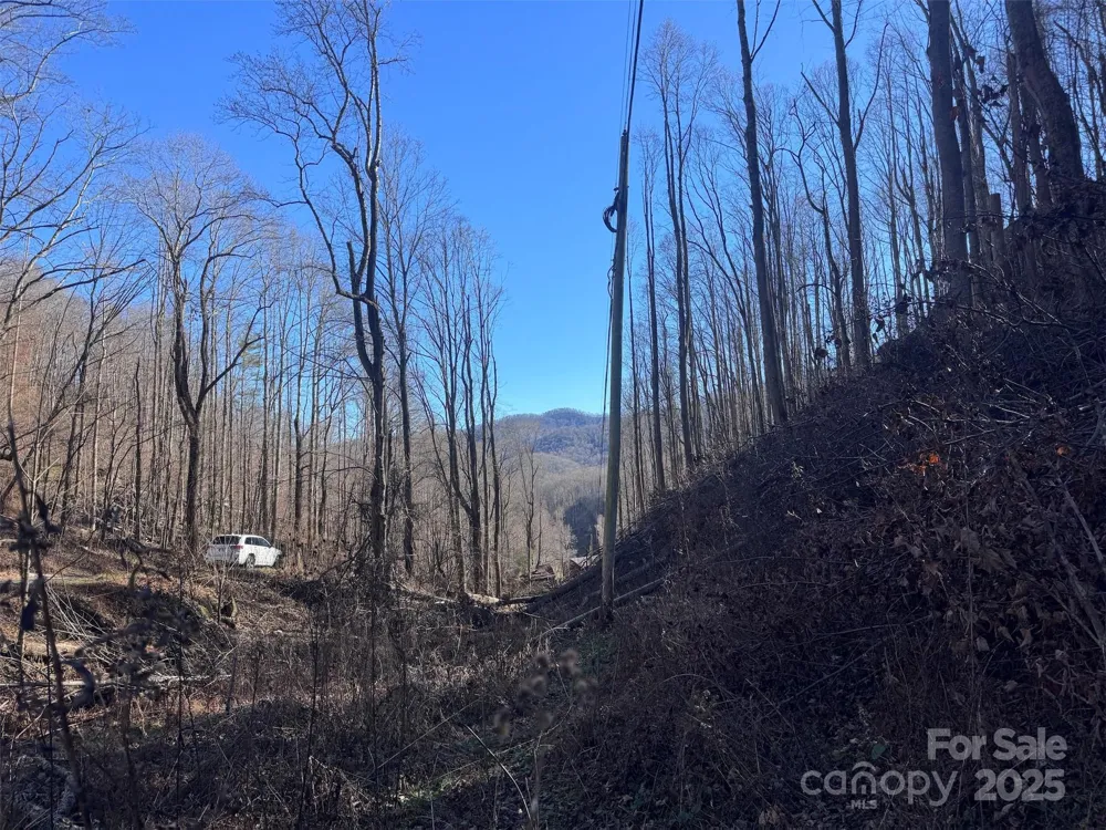 15 +/- Acres Riddle Branch Road Burnsville, NC 28714