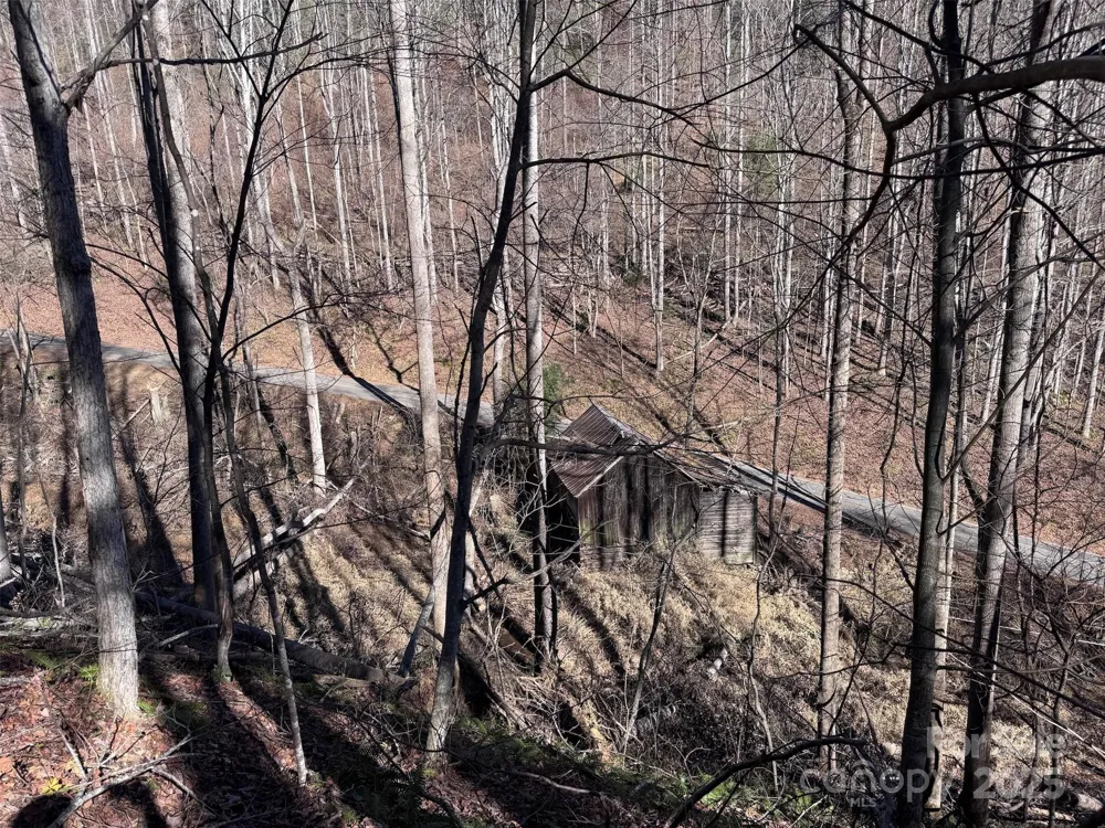 15 +/- Acres Riddle Branch Road Burnsville, NC 28714