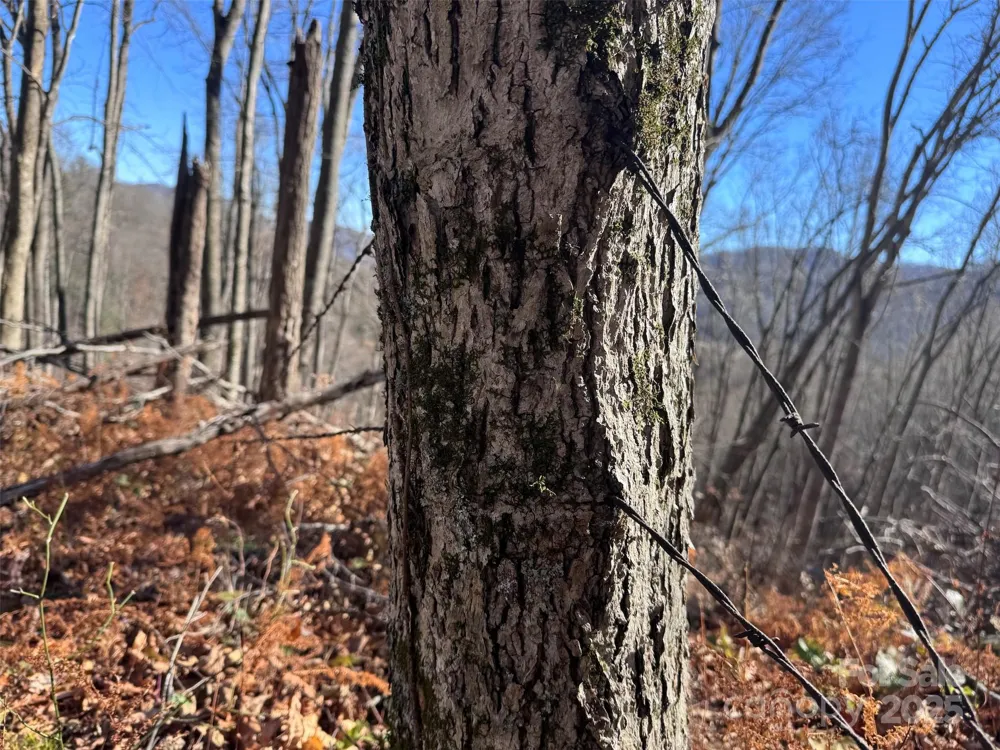 15 +/- Acres Riddle Branch Road Burnsville, NC 28714