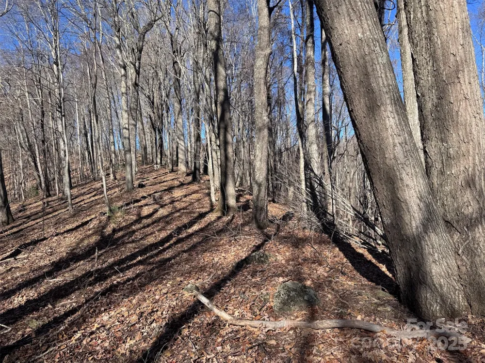 15 +/- Acres Riddle Branch Road Burnsville, NC 28714