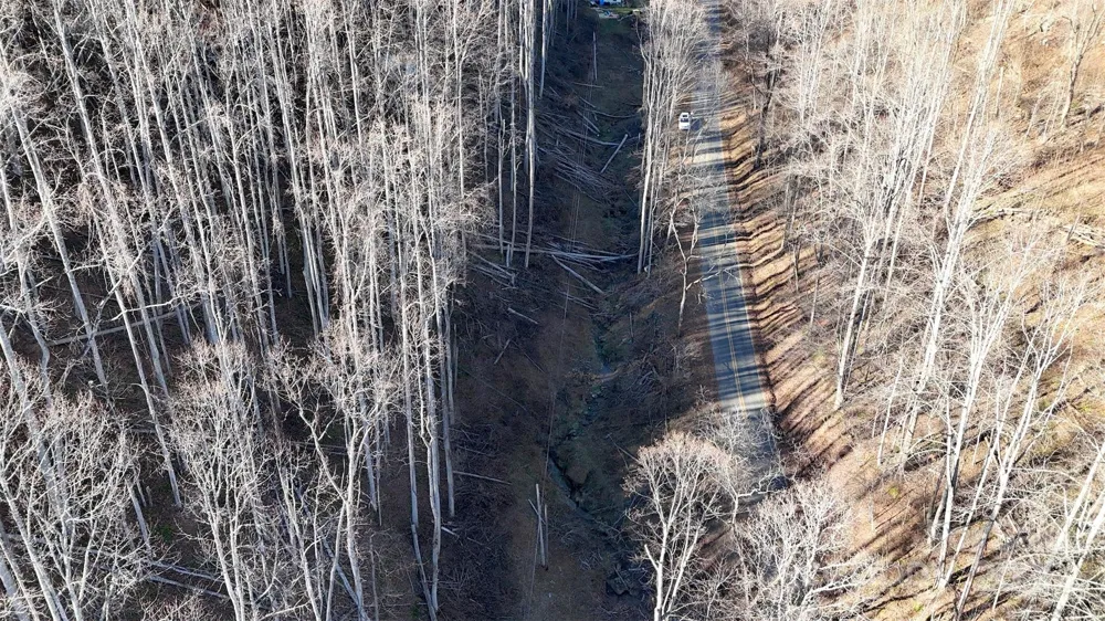 15 +/- Acres Riddle Branch Road Burnsville, NC 28714
