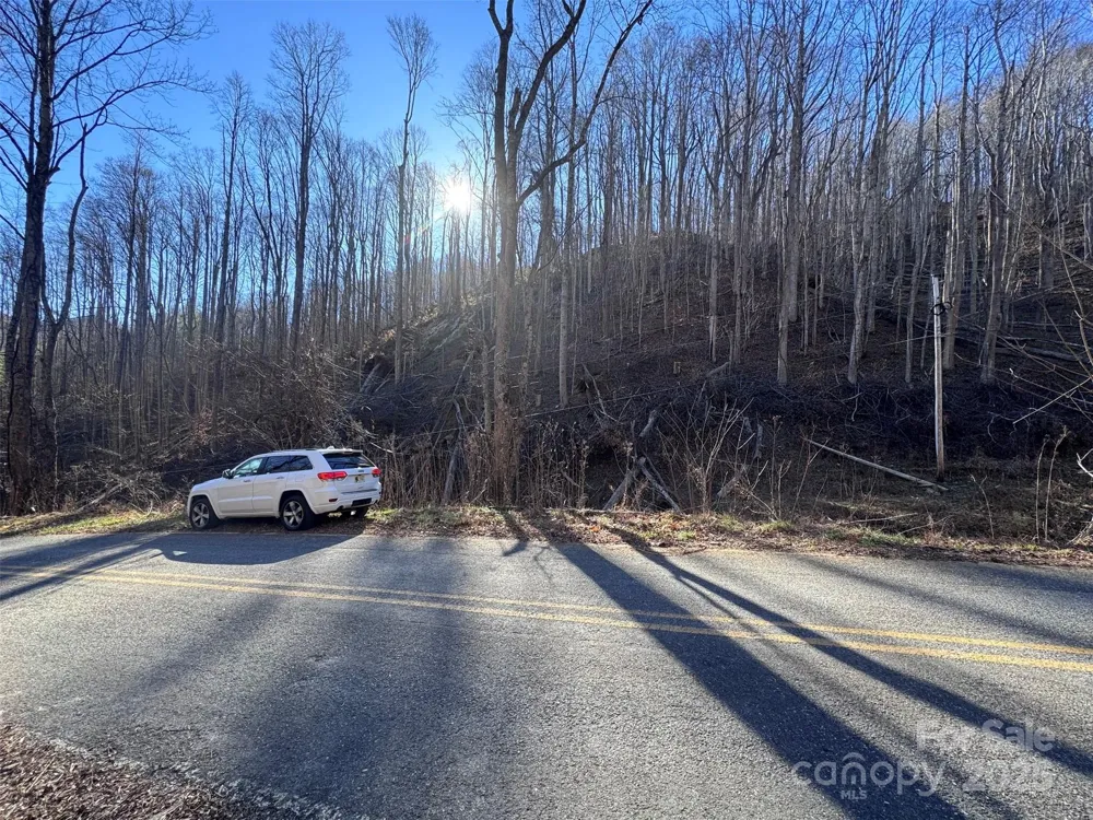 15 +/- Acres Riddle Branch Road Burnsville, NC 28714