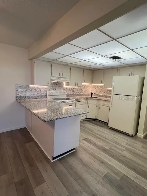 21260 BRINSON AVENUE #211 Port Charlotte, FL 33952