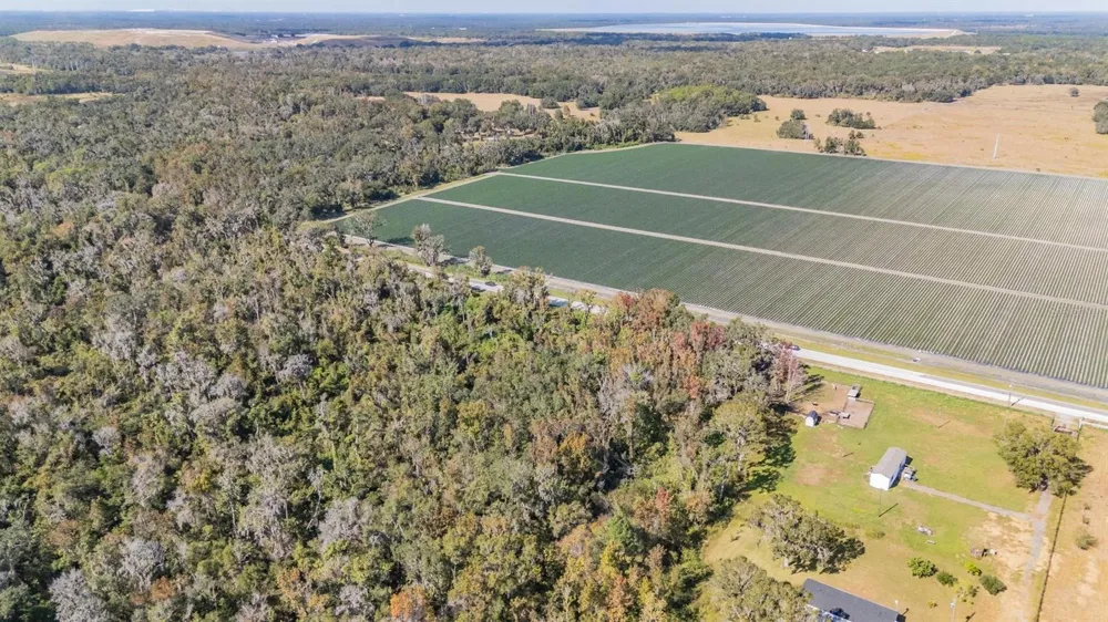 18113 672 HIGHWAY Lithia, FL 33547