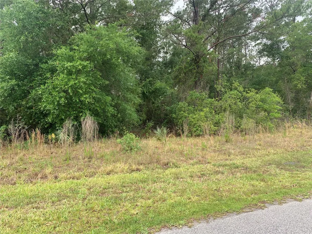525 LIVE OAK LOOP Crescent City, FL 32112