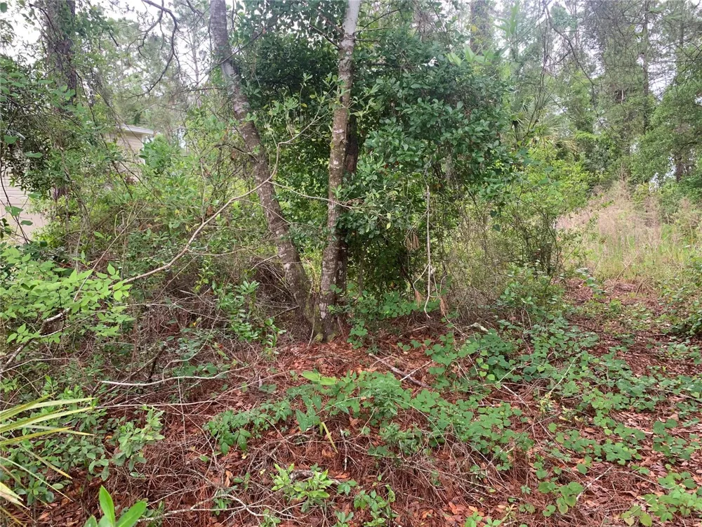 525 LIVE OAK LOOP Crescent City, FL 32112