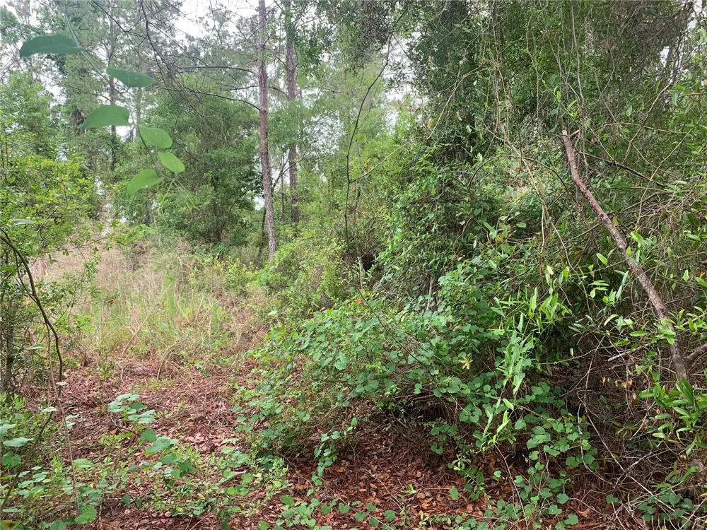 525 LIVE OAK LOOP Crescent City, FL 32112