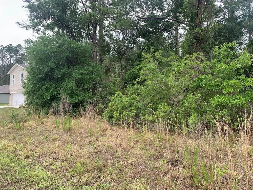 525 LIVE OAK LOOP Crescent City, FL 32112