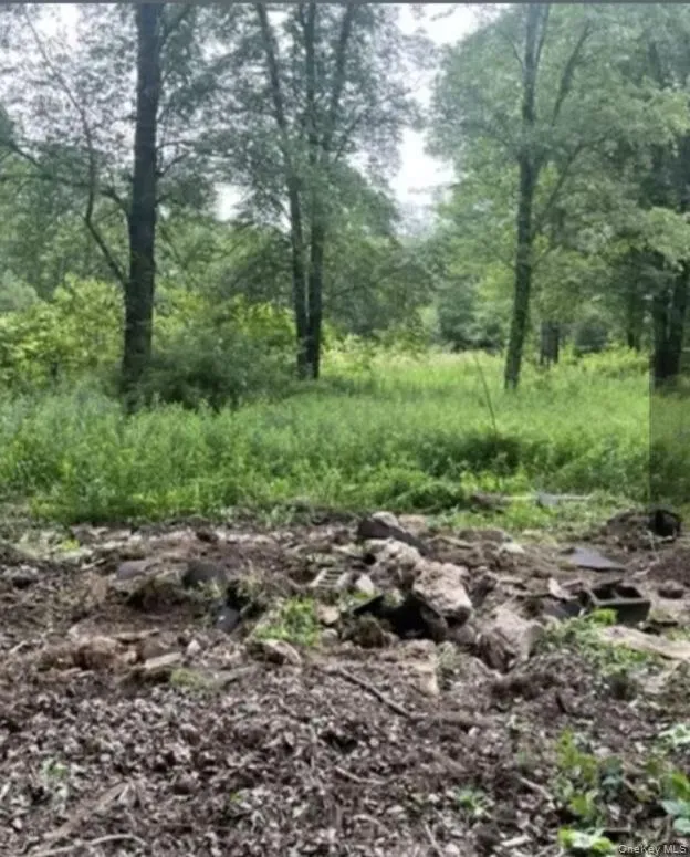 358/80 Ferguson Lane Wurtsboro, NY 12790
