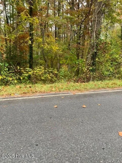 Tbd Swains Mill Road Harrellsville, NC 27942