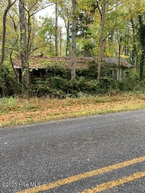 Tbd Swains Mill Road Harrellsville, NC 27942