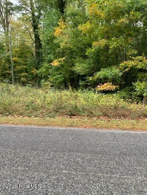 Tbd Swains Mill Road Harrellsville, NC 27942