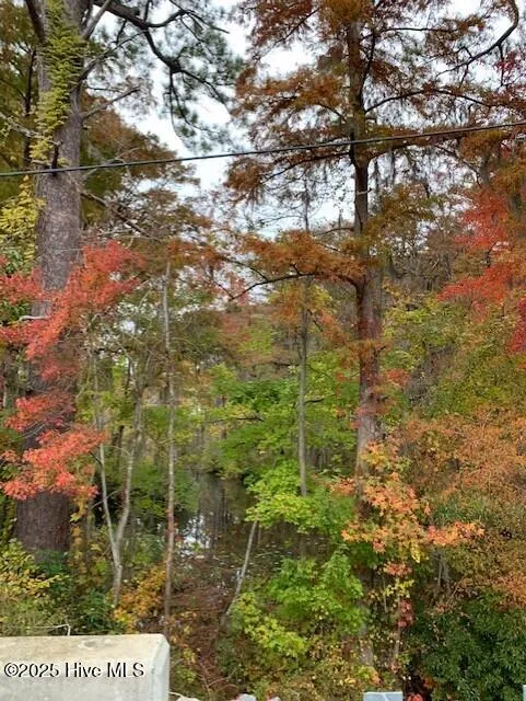 Tbd Swains Mill Road Harrellsville, NC 27942