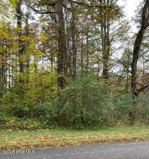 Tbd Swains Mill Road Harrellsville, NC 27942
