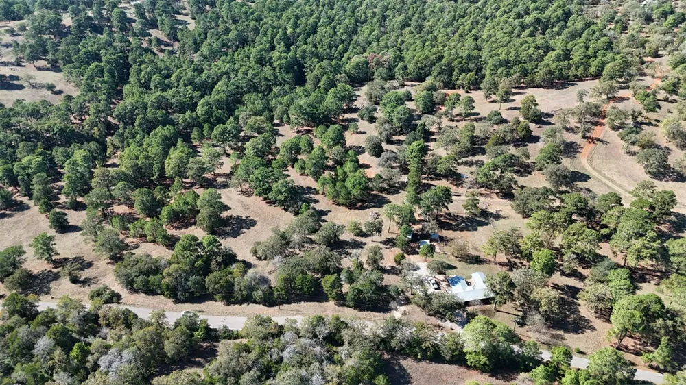 Copeland Hill Road Smithville, TX 78957