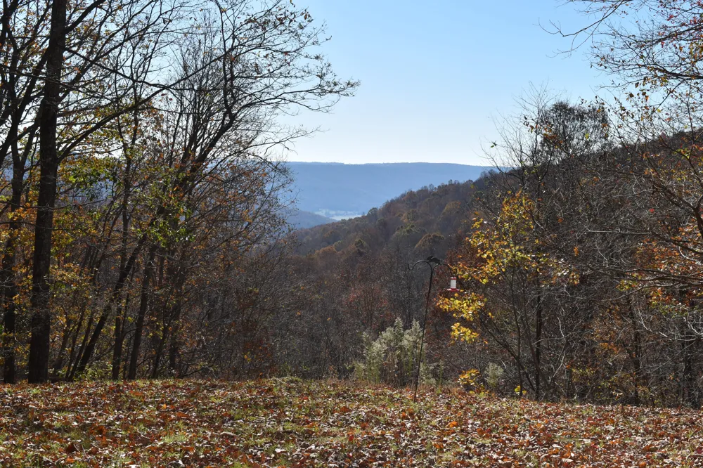1454 Stage Coach Road Sewanee, TN 37375