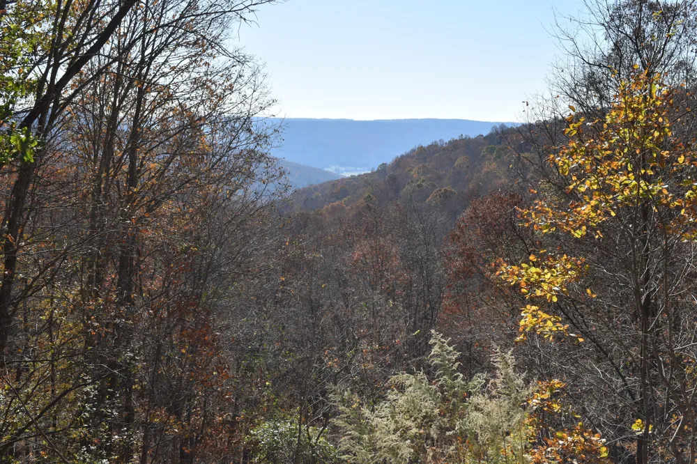 1454 Stage Coach Road Sewanee, TN 37375