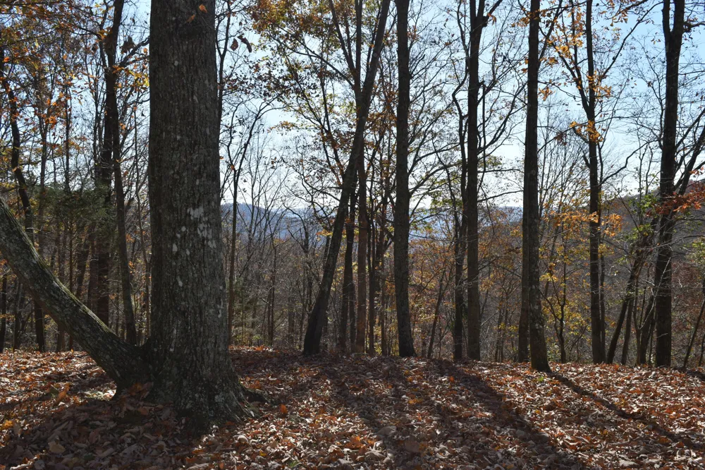 1454 Stage Coach Road Sewanee, TN 37375