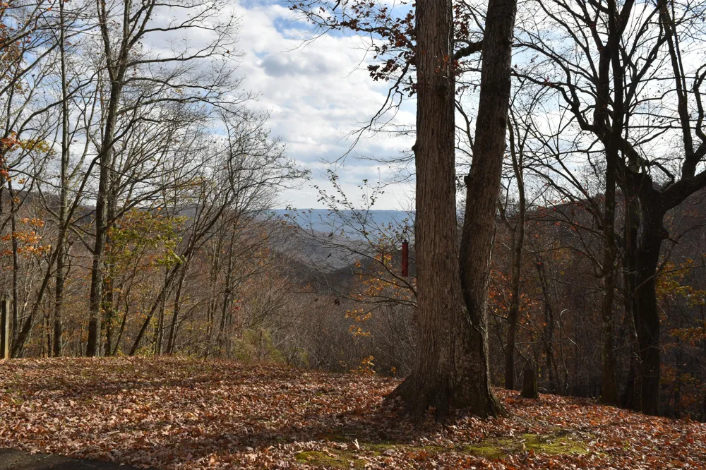 1454 Stage Coach Road Sewanee, TN 37375
