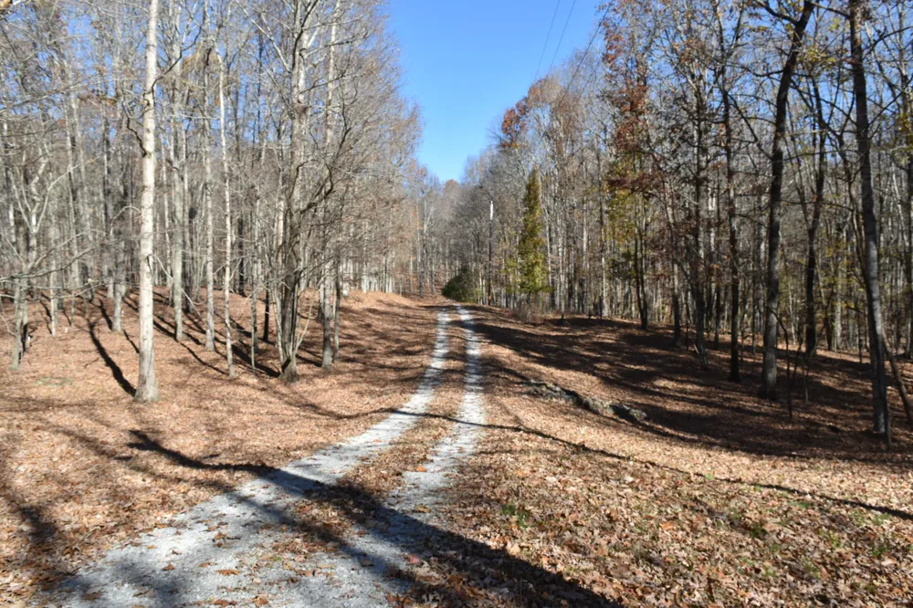1454 Stage Coach Road Sewanee, TN 37375