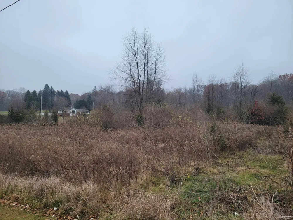 10140 Fairway Drive Somerset Township, MI 49249