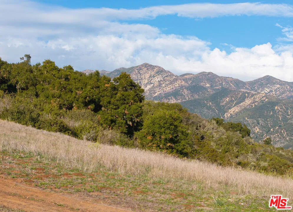 3589 Toro Canyon Park Road Carpinteria, CA 93013