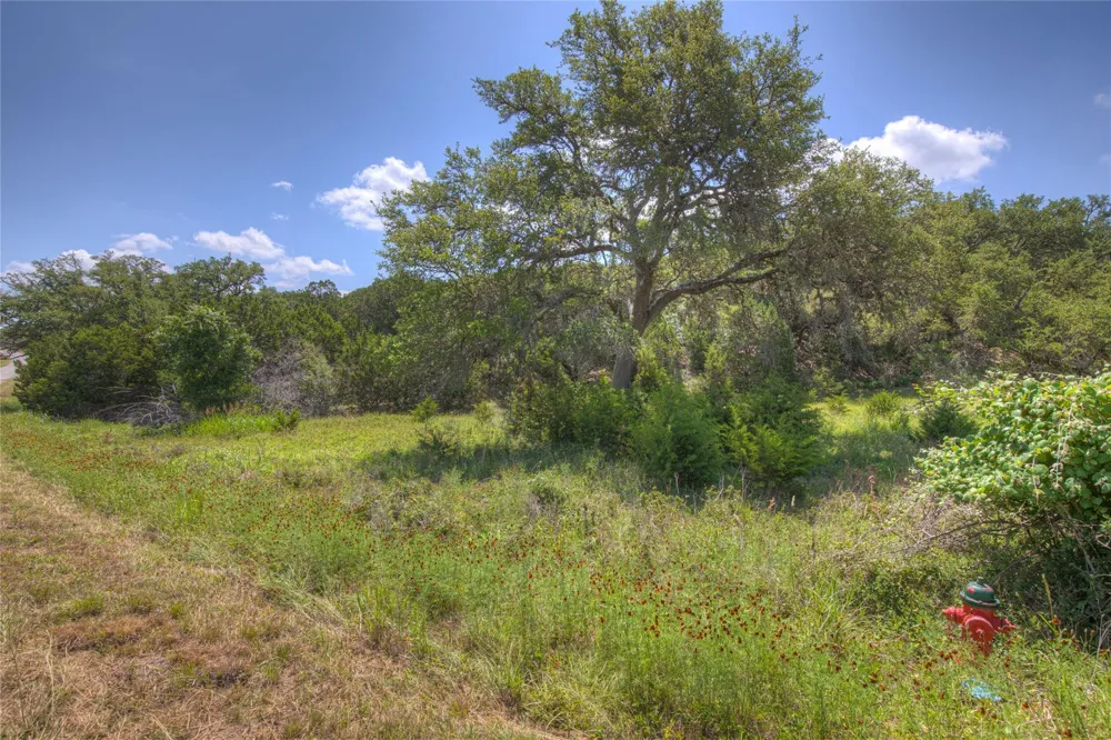 3539 Comal Springs Canyon Lake, TX 78133